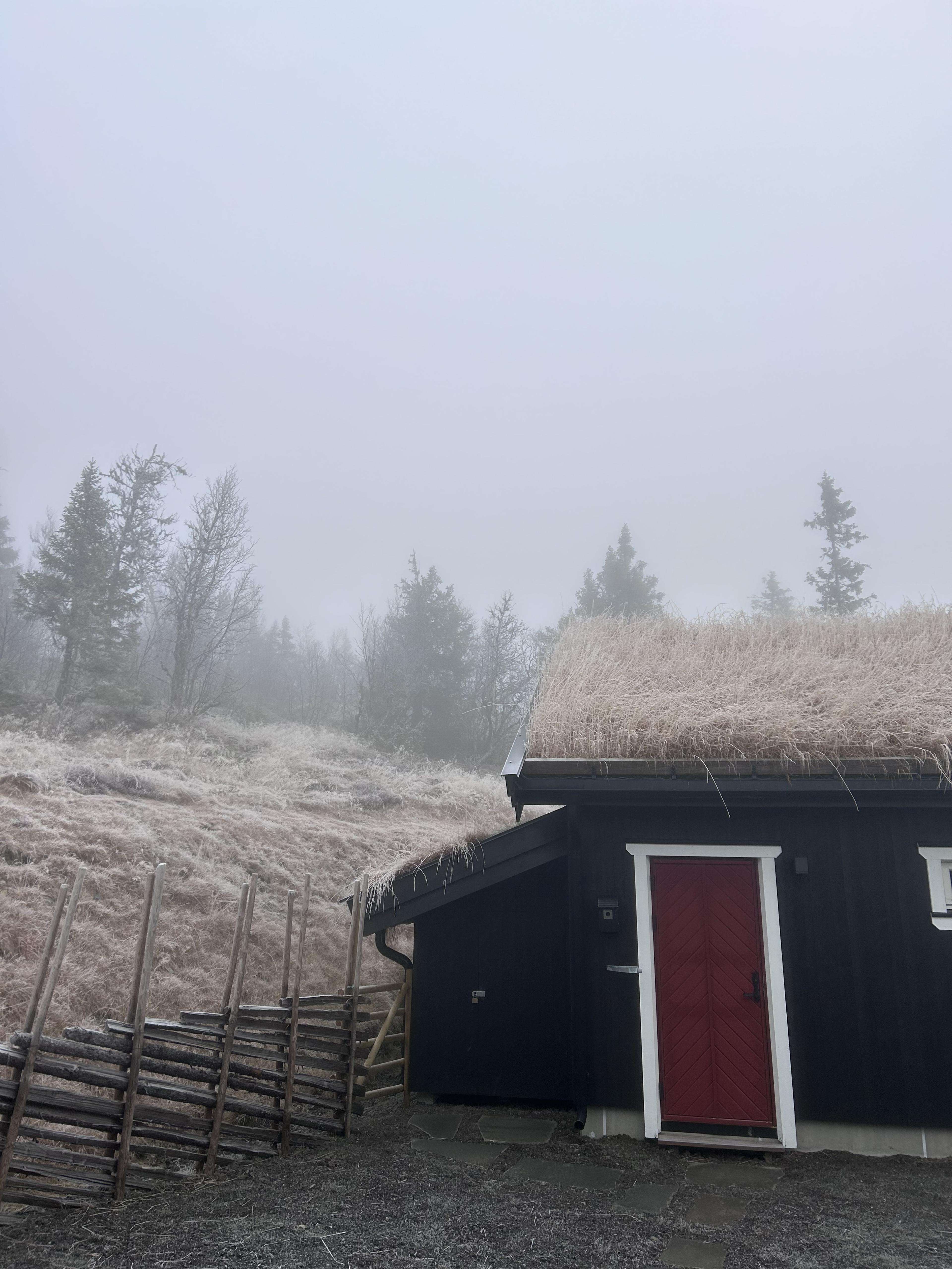 cabin in the morning 