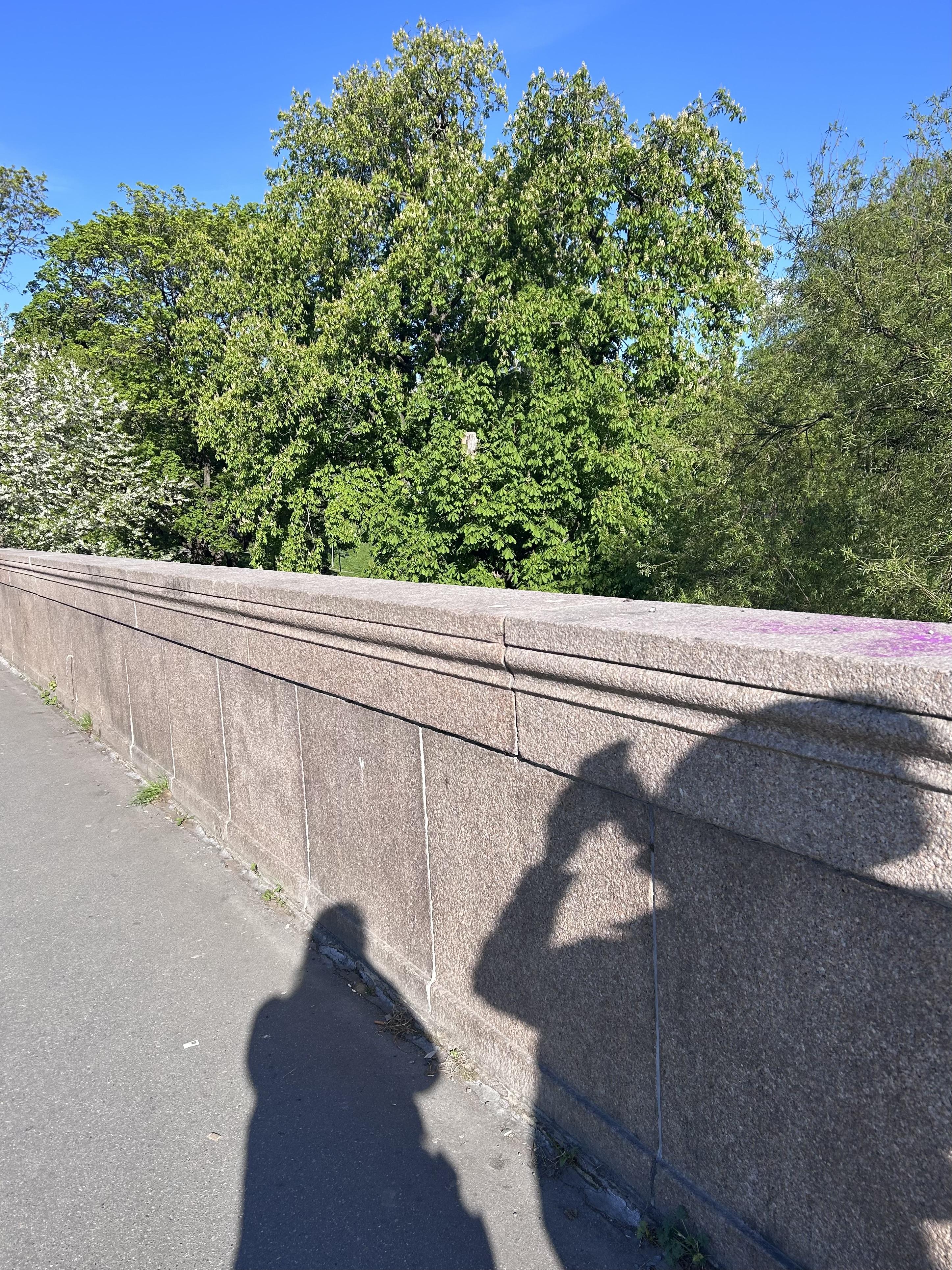 shadows on a bridge