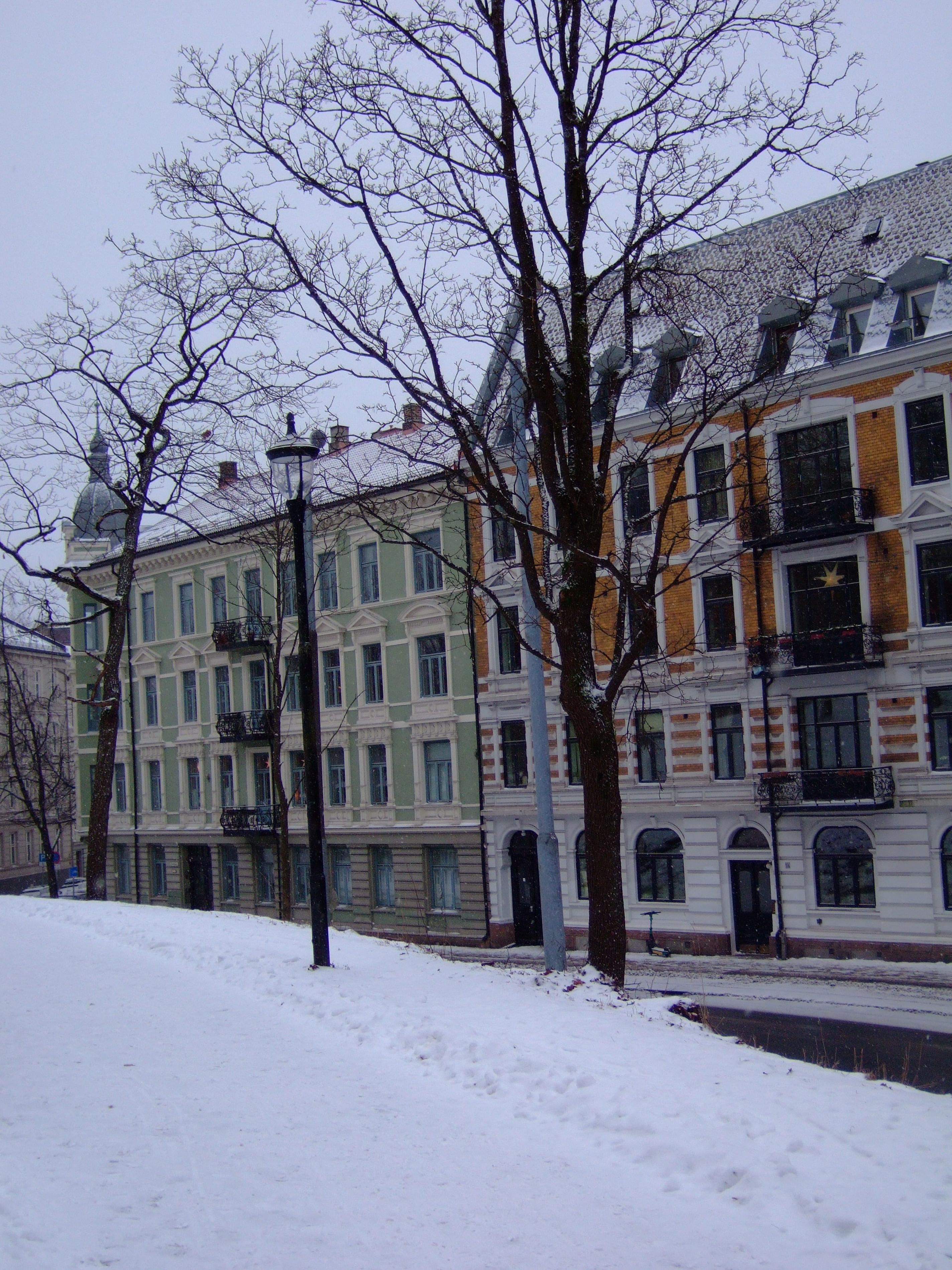 snow and a christmas star